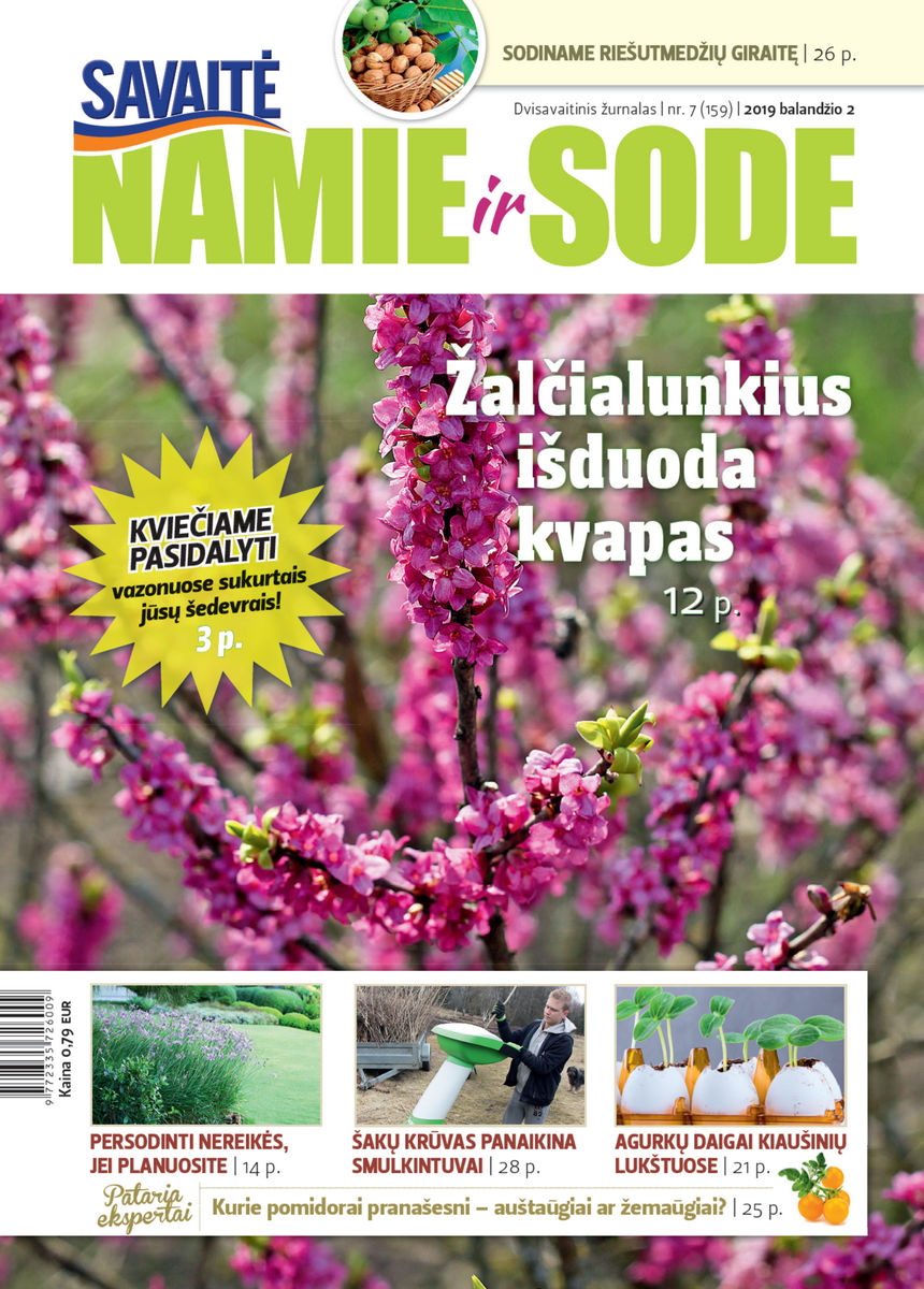 Namie Ir Sode 07 (2019)