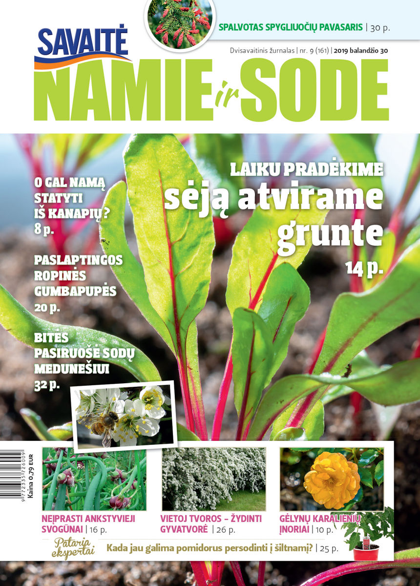 Namie Ir Sode 09 (2019)
