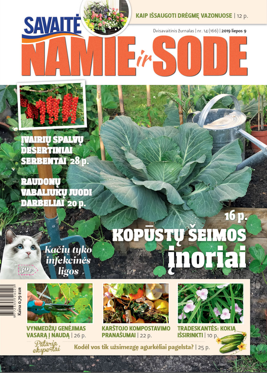 Namie Ir Sode 14 (2019) Namie Ir Sode 14 (2019)