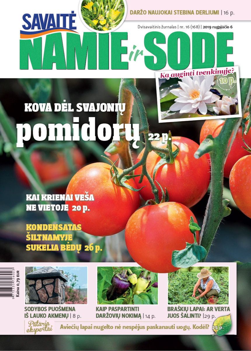 Namie Ir Sode 16 (2019) Namie Ir Sode 16 (2019)