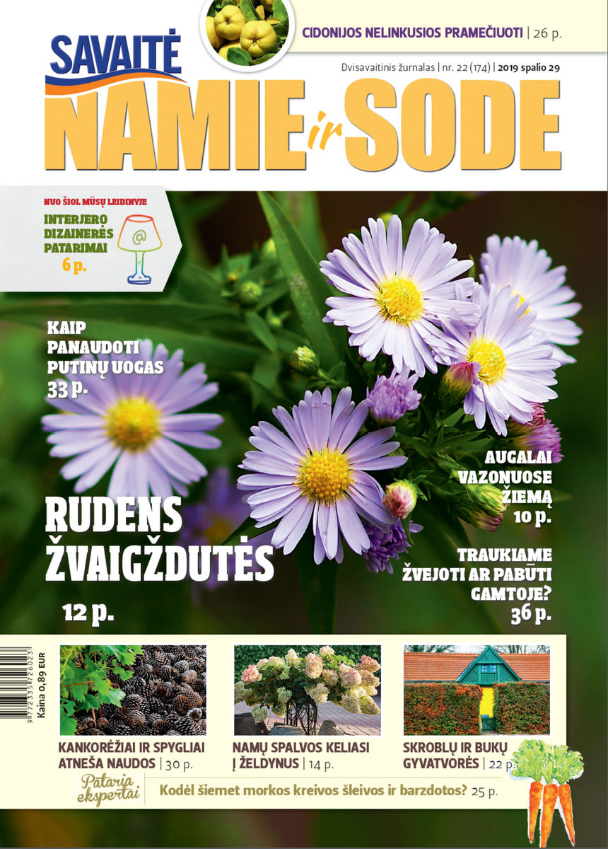 Namie Ir Sode 22 (2019)