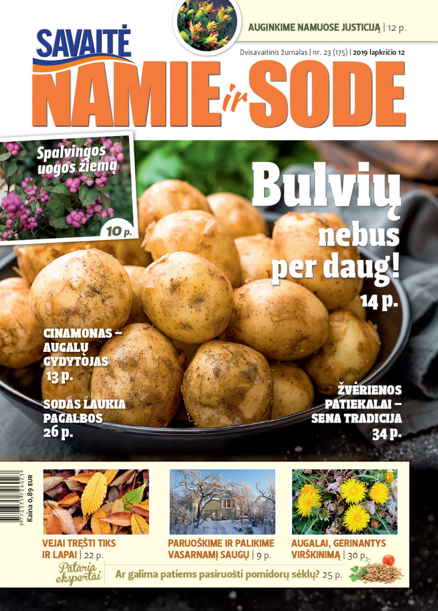 Namie Ir Sode 23 (2019) Namie Ir Sode 23 (2019)