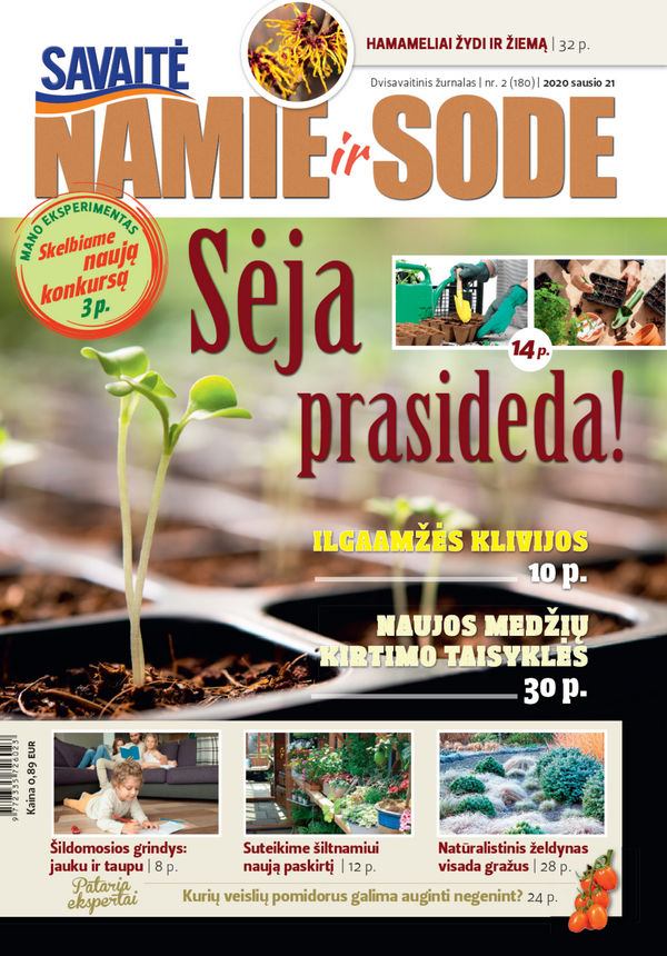 Namie Ir Sode 02 (2020)