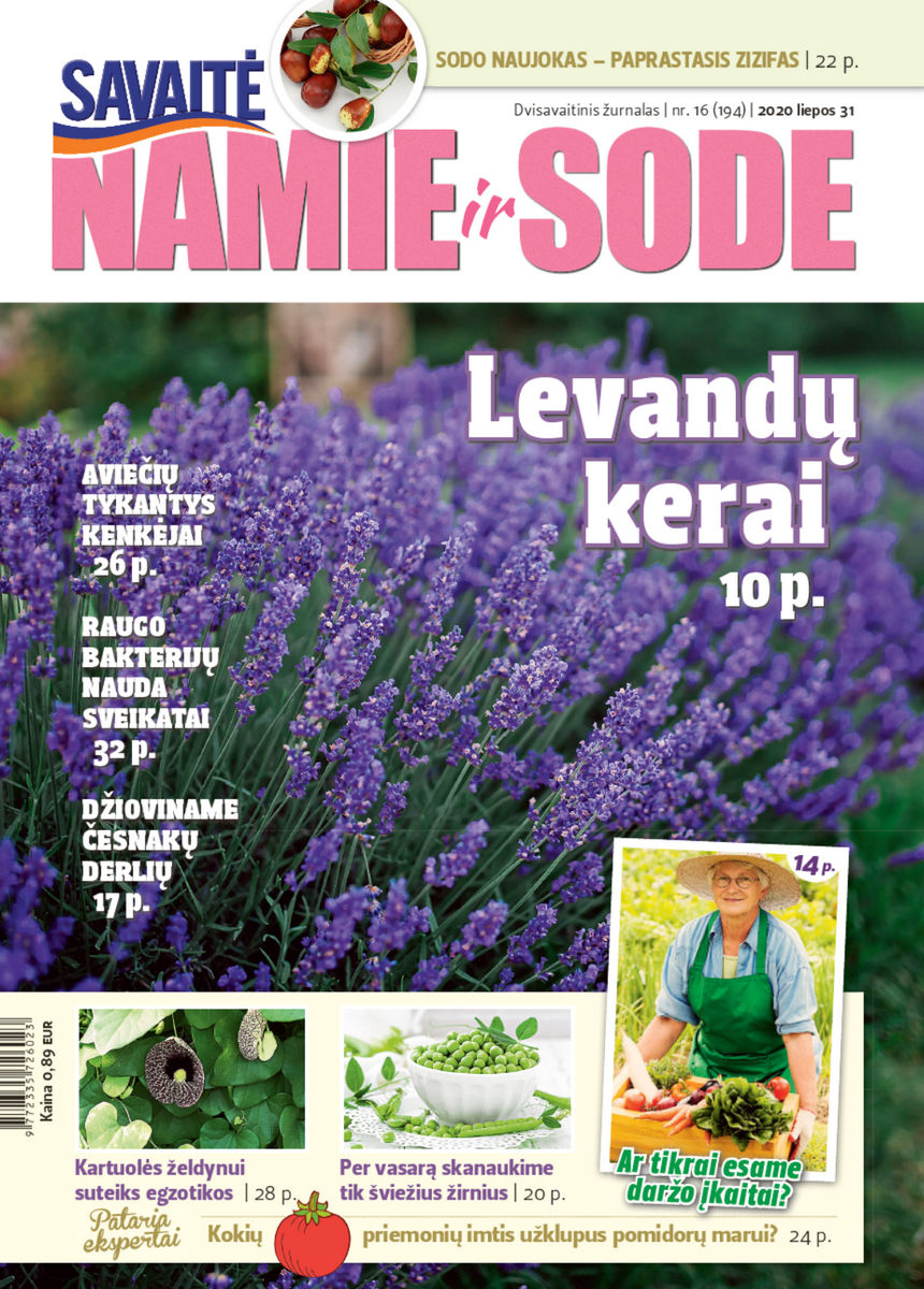 Namie Ir Sode 16 (2020) Namie Ir Sode 16 (2020)