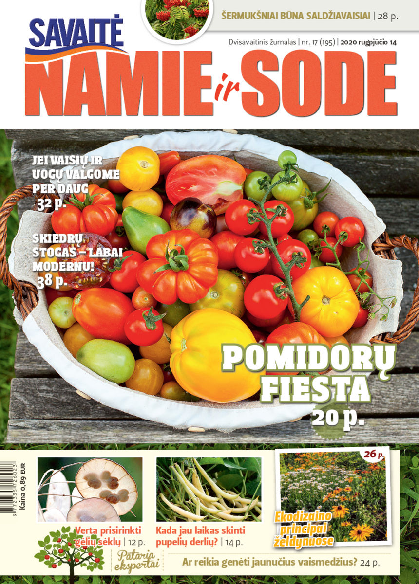 Namie Ir Sode 17 (2020) Namie Ir Sode 17 (2020)