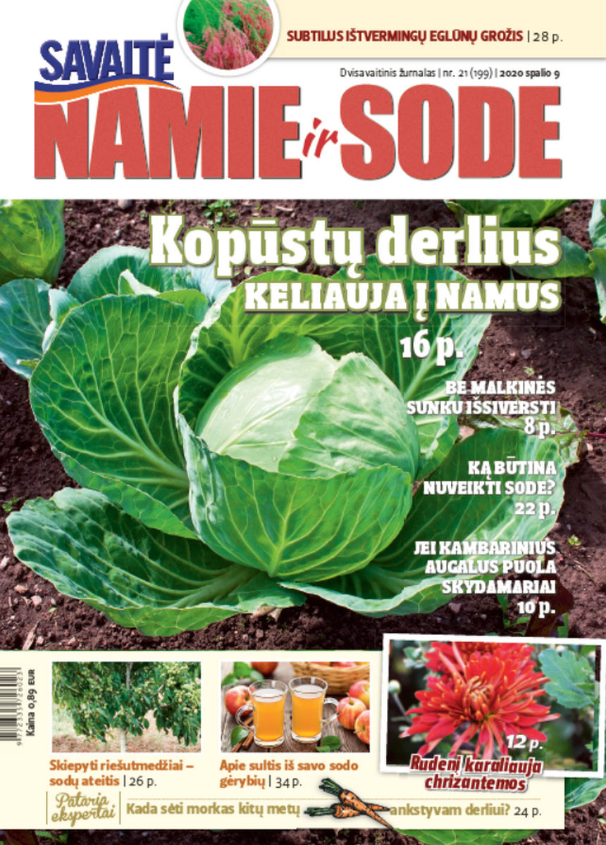 Namie Ir Sode 21 (2020)