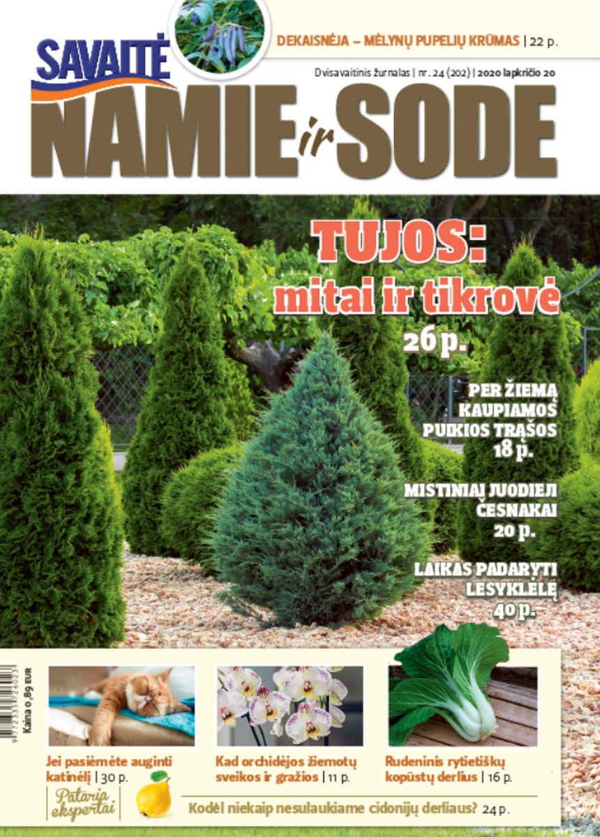 Namie Ir Sode 24 (2020) Namie Ir Sode 24 (2020)