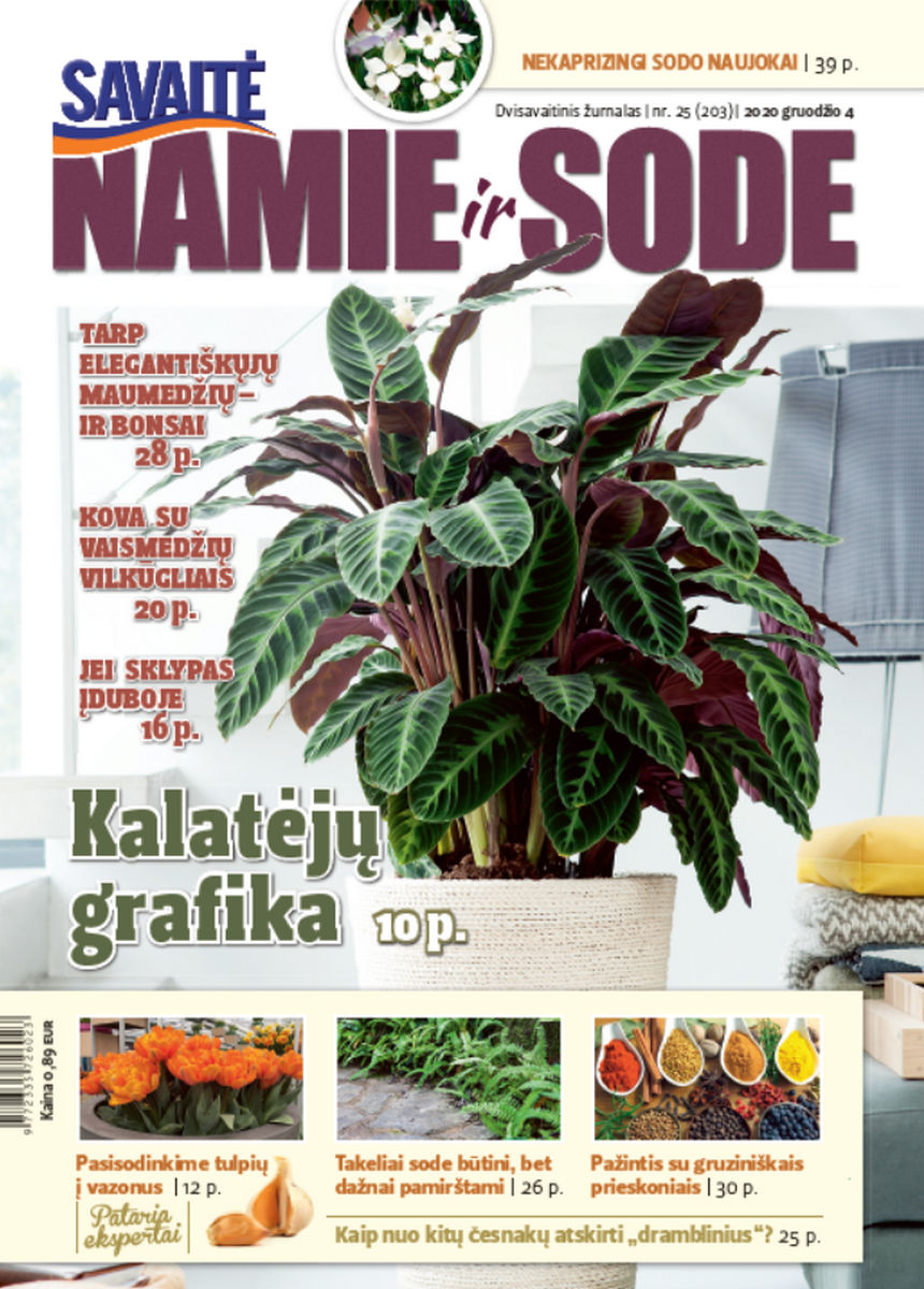 Namie Ir Sode 25 (2020) Namie Ir Sode 25 (2020)