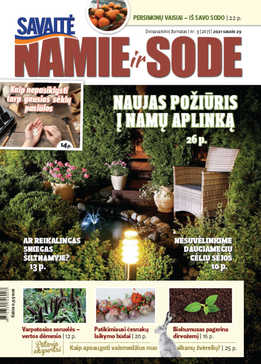 Namie Ir Sode 03 (2021)