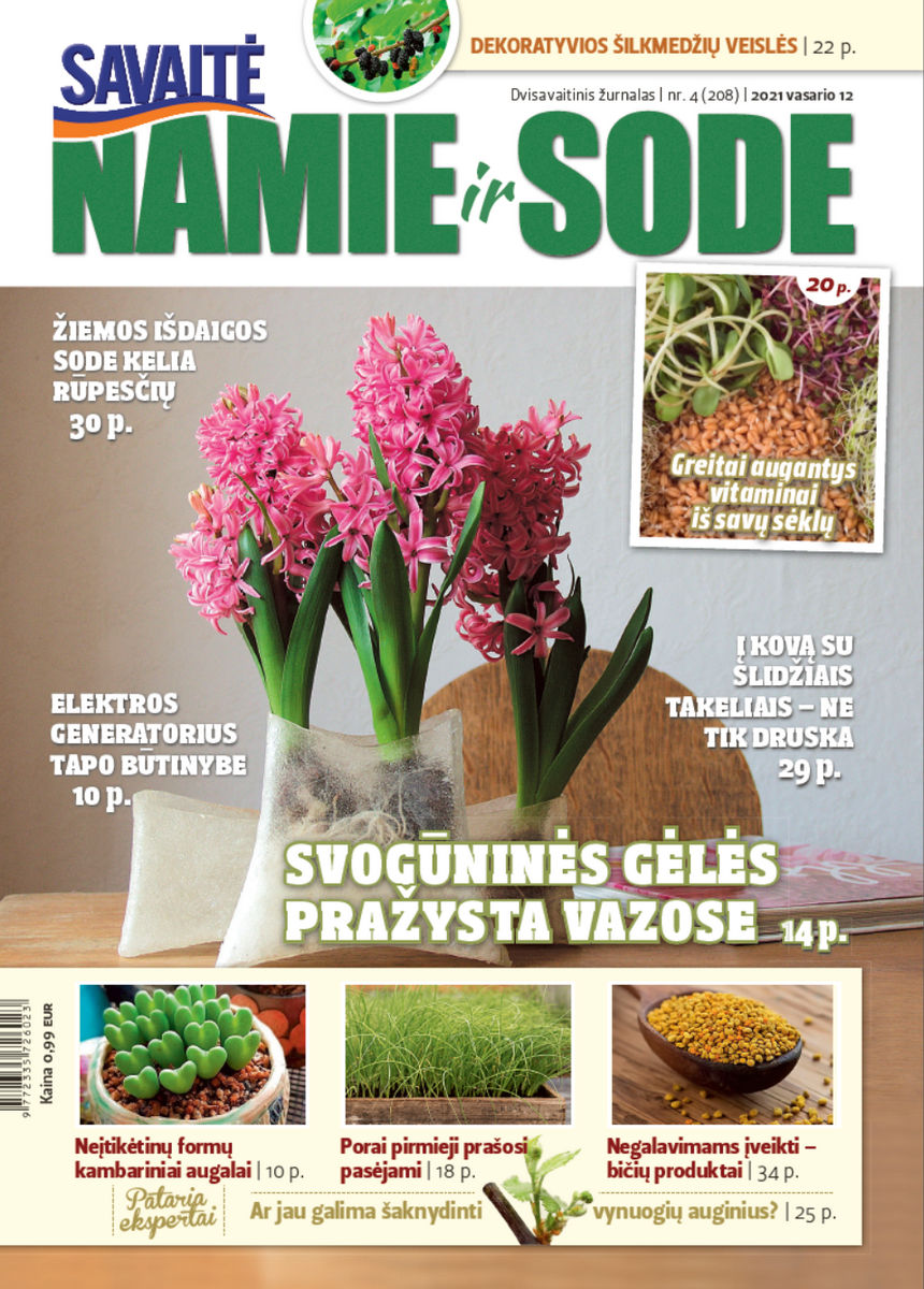 Namie Ir Sode 04 (2021) Namie Ir Sode 04 (2021)
