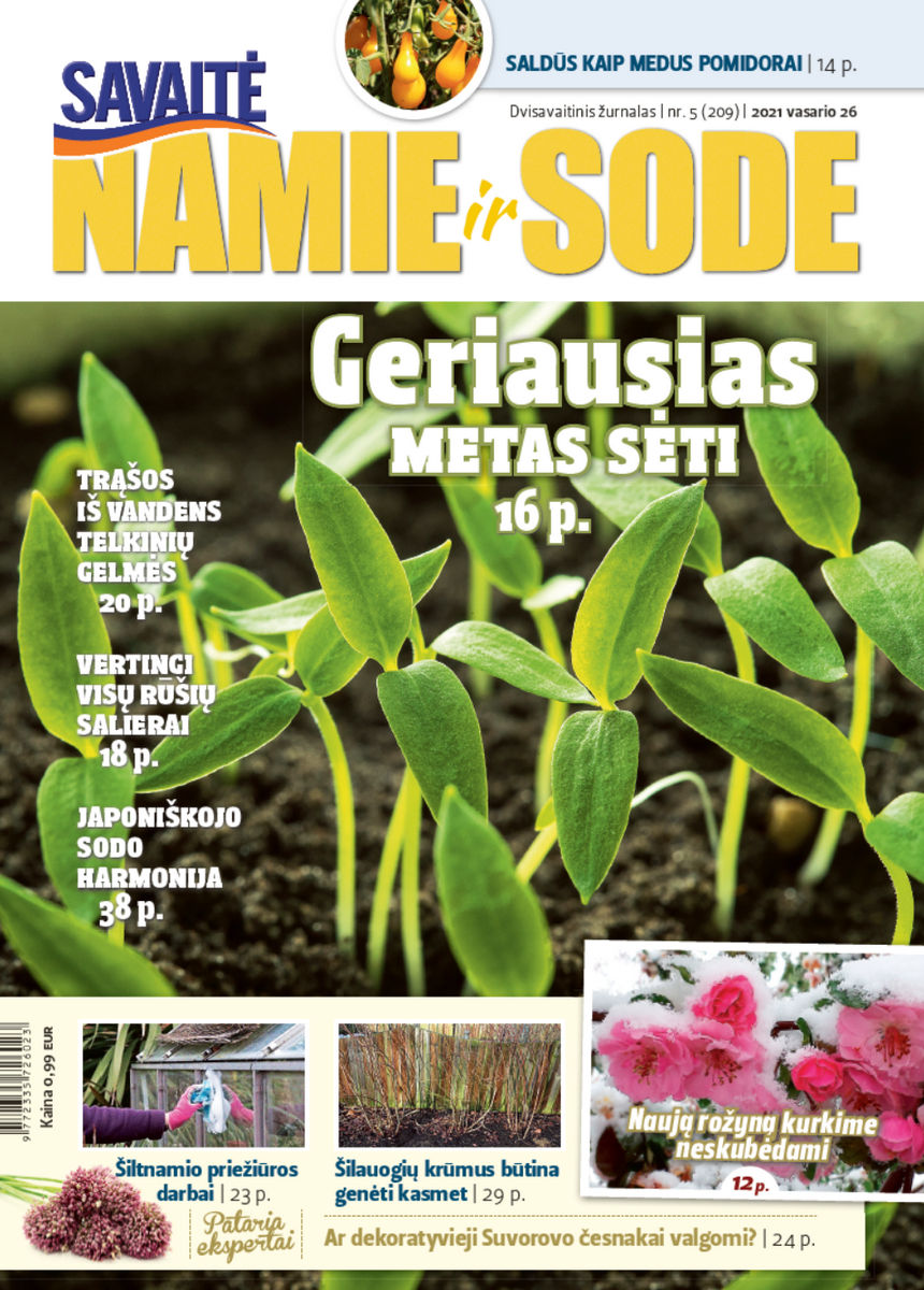 Namie Ir Sode 05 (2021)