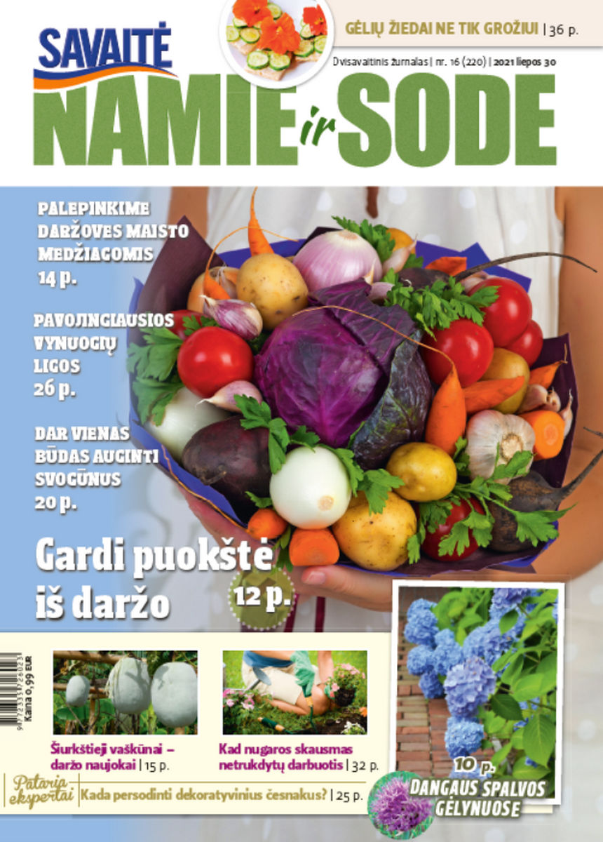 Namie Ir Sode 16 (2021) Namie Ir Sode 16 (2021)