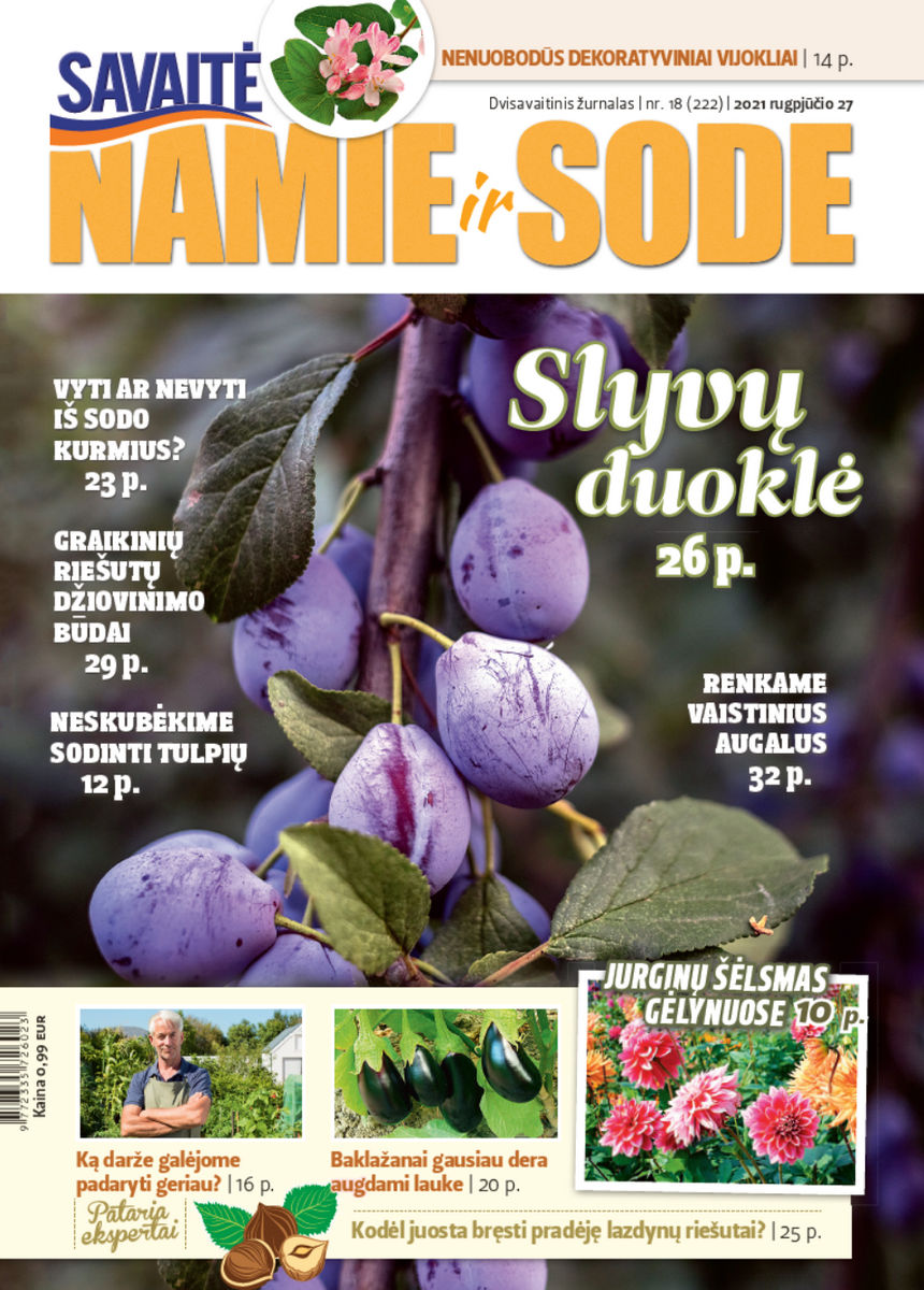 Namie Ir Sode 18 (2021)