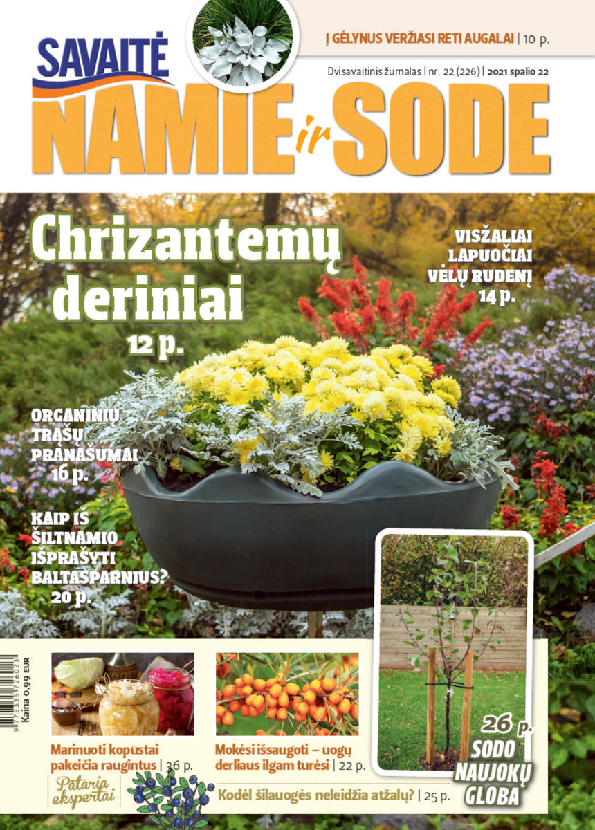 Namie Ir Sode 22 (2021) Namie Ir Sode 22 (2021)