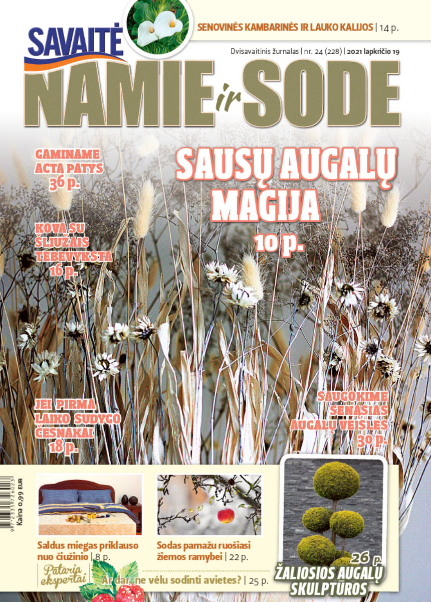 Namie Ir Sode 24 (2021)