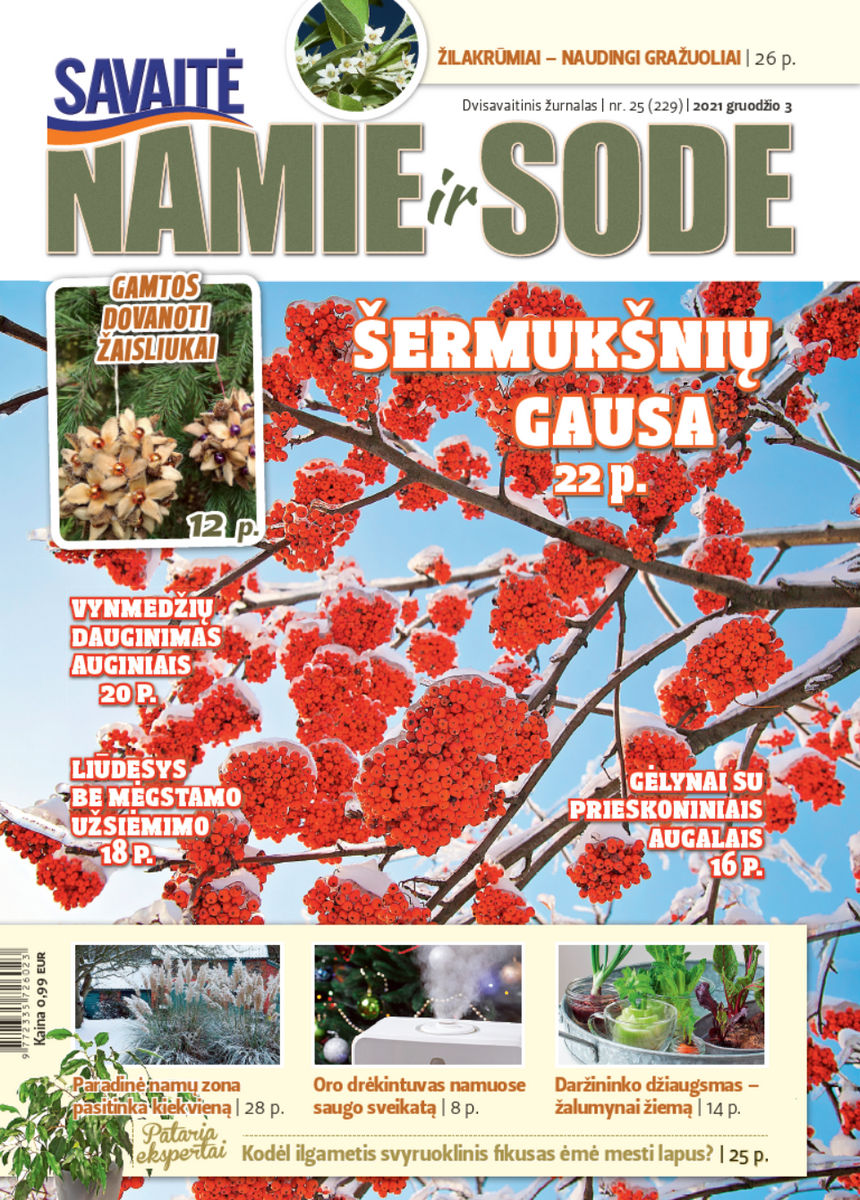 Namie Ir Sode 25 (2021) Namie Ir Sode 25 (2021)