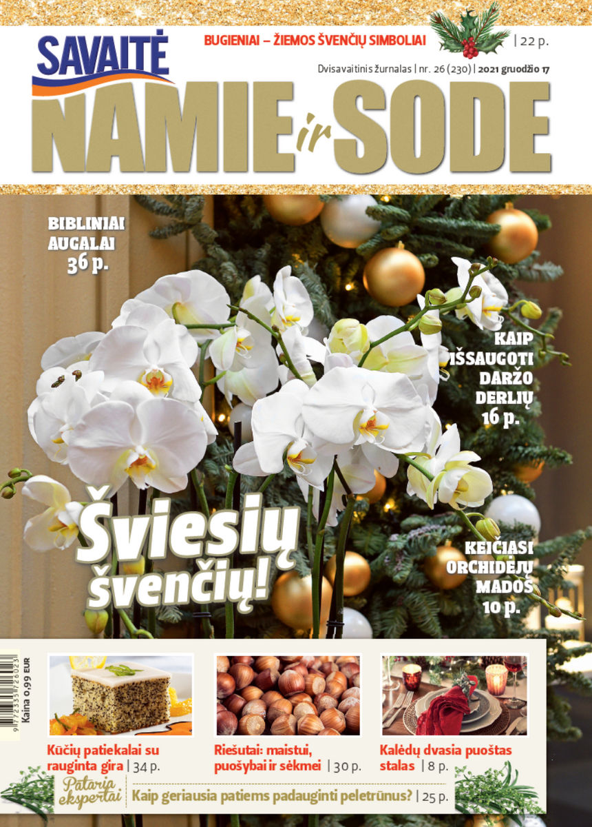 Namie Ir Sode 26 (2021)