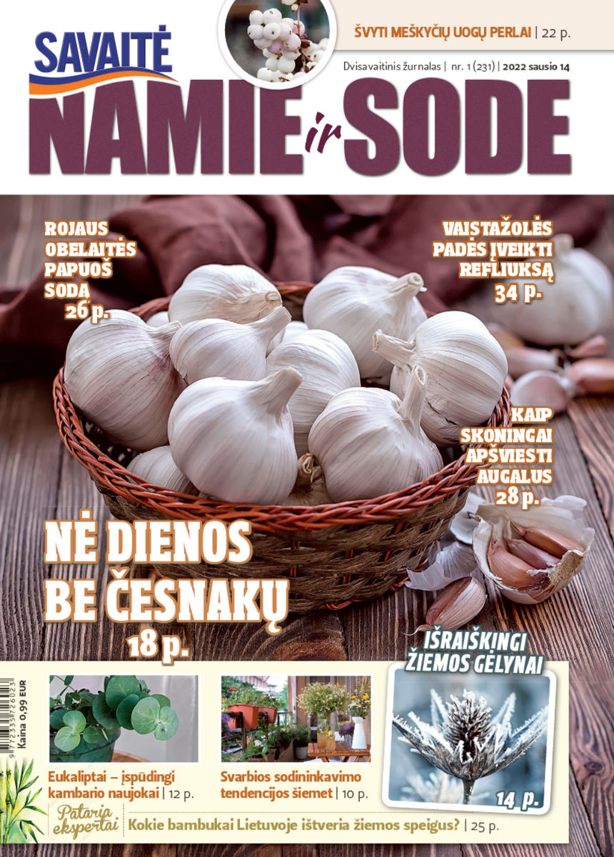 Namie Ir Sode 01 (2022) Namie Ir Sode 01 (2022)