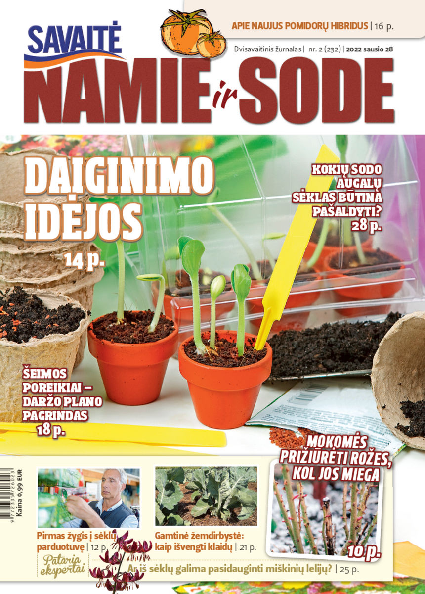 Namie Ir Sode 02 (2022)