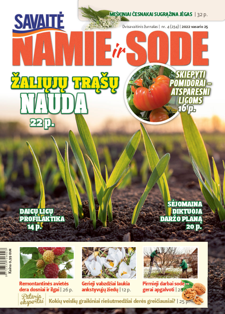 Namie Ir Sode 04 (2022)