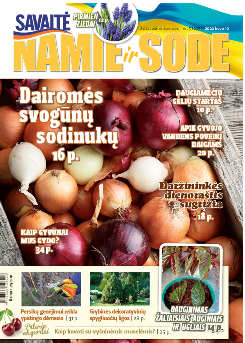 Namie Ir Sode 05 (2022)