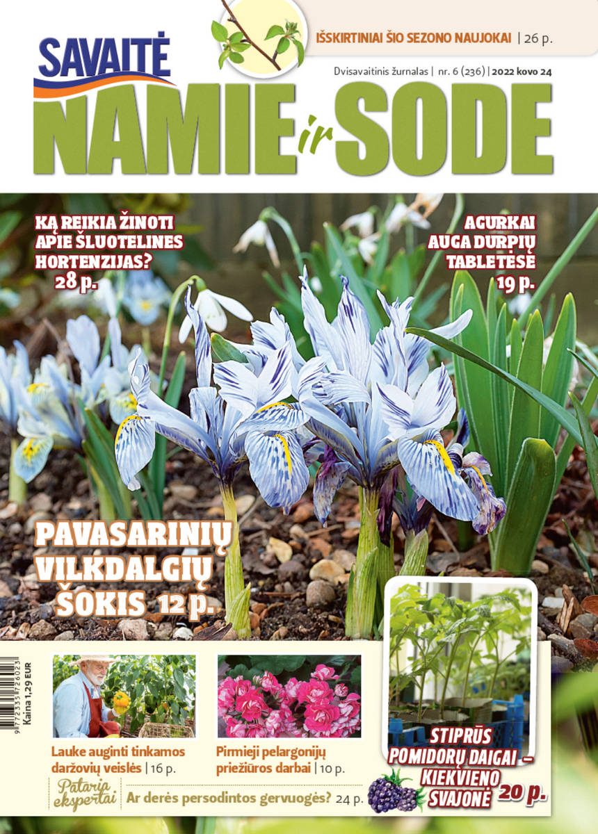 Namie Ir Sode 06 (2022)