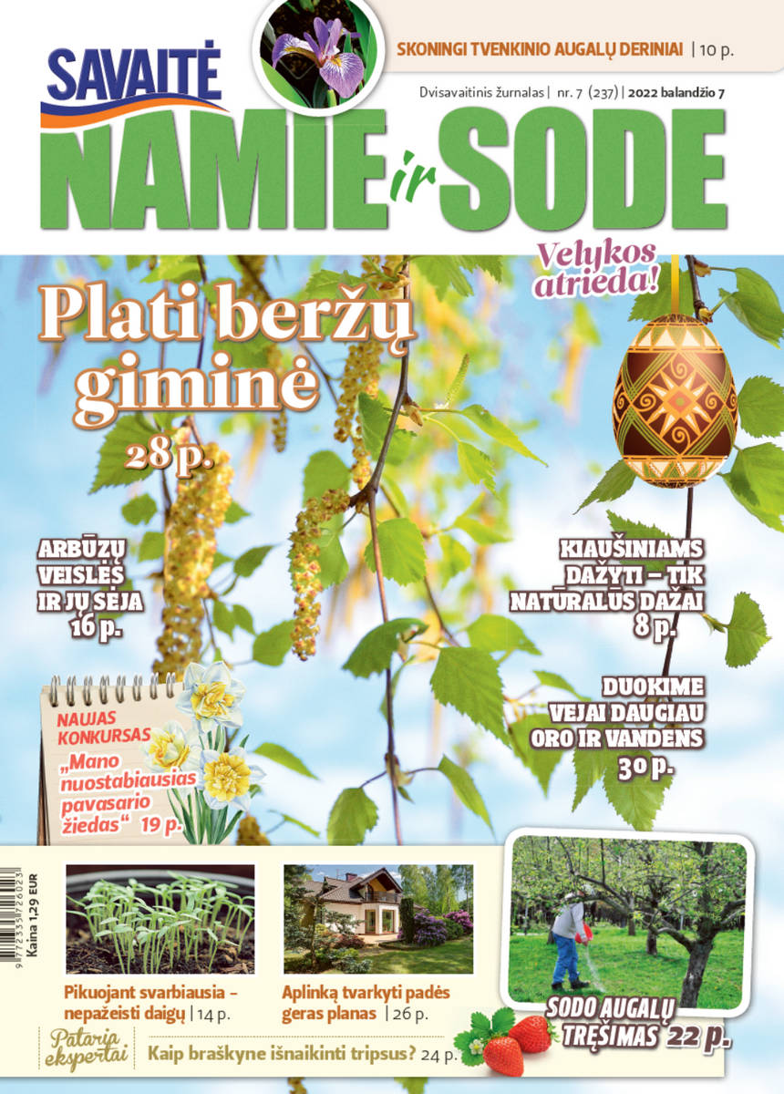 Namie Ir Sode 07 (2022)