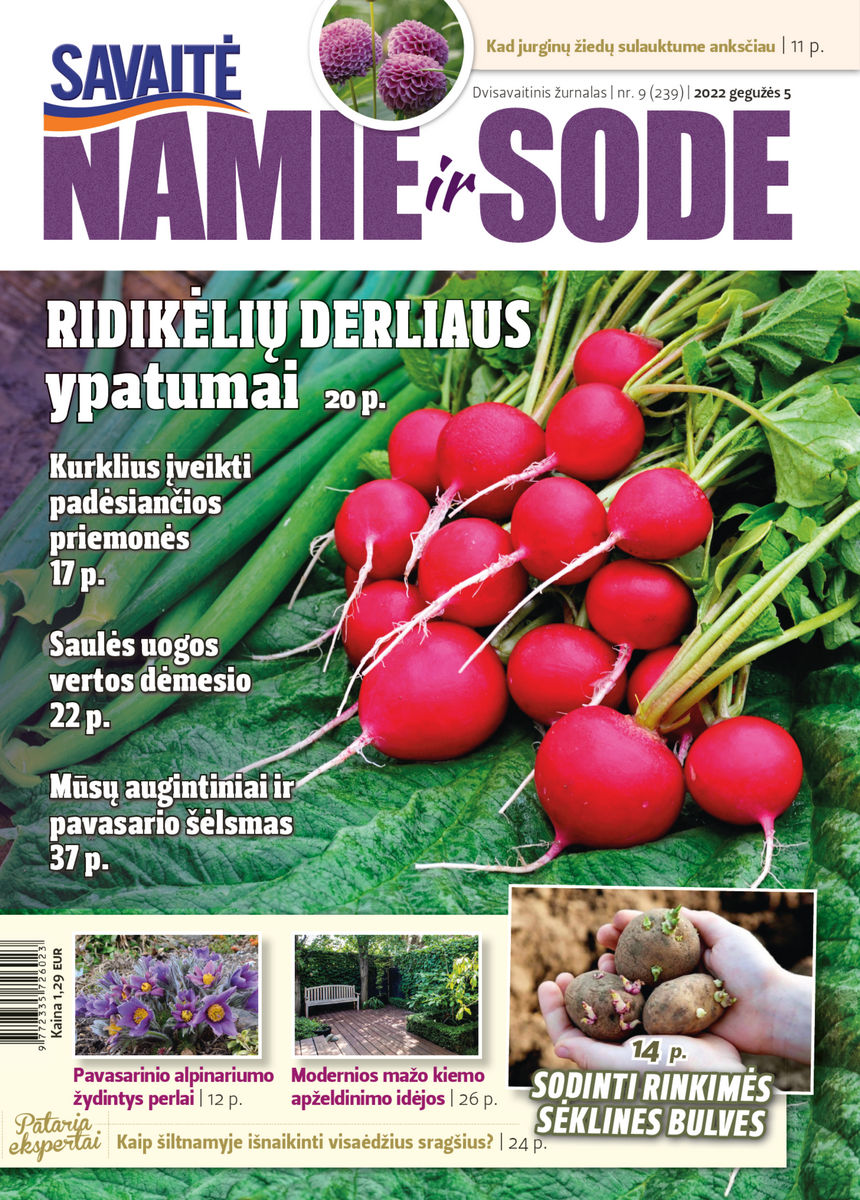 Namie Ir Sode 09 (2022)