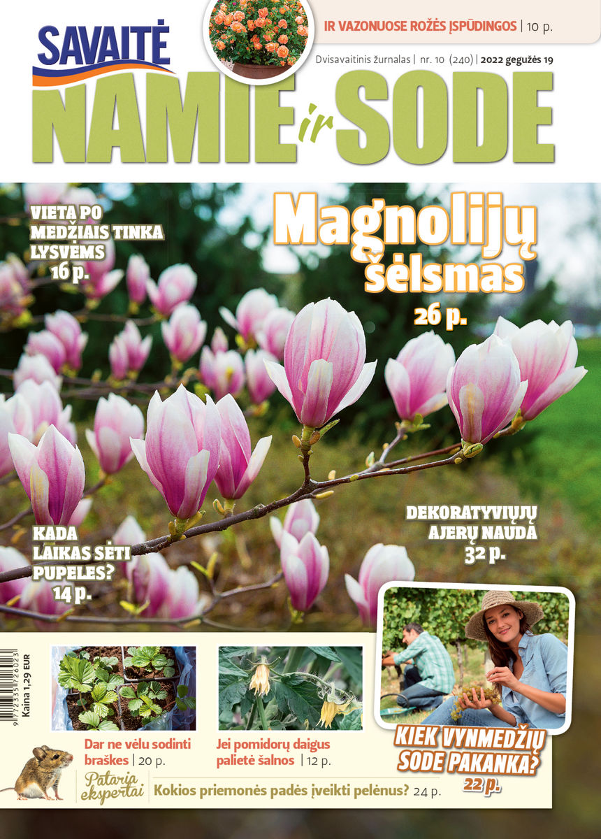 Namie Ir Sode 10 (2022) Namie Ir Sode 10 (2022)