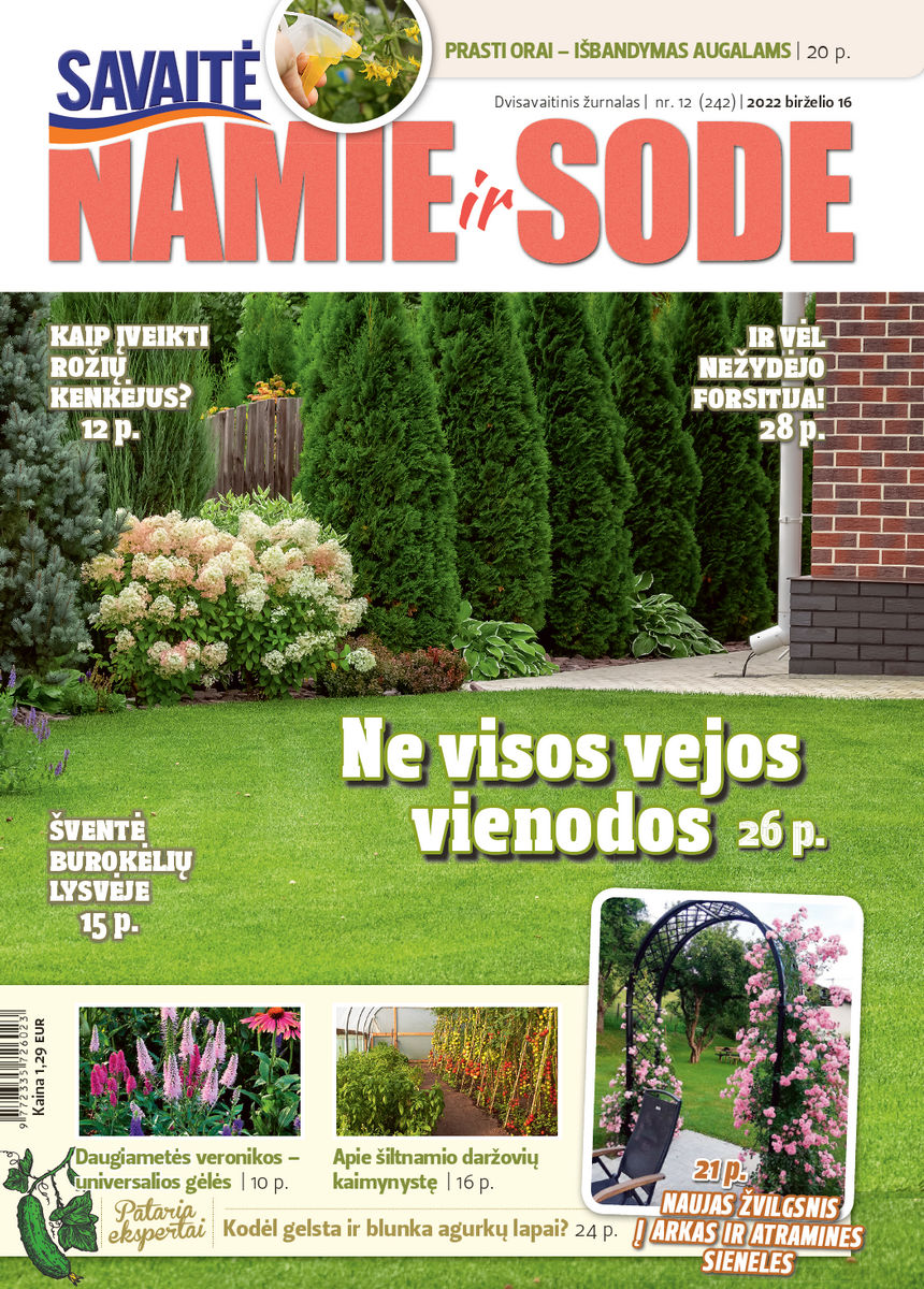 Namie Ir Sode 12 (2022) Namie Ir Sode 12 (2022)
