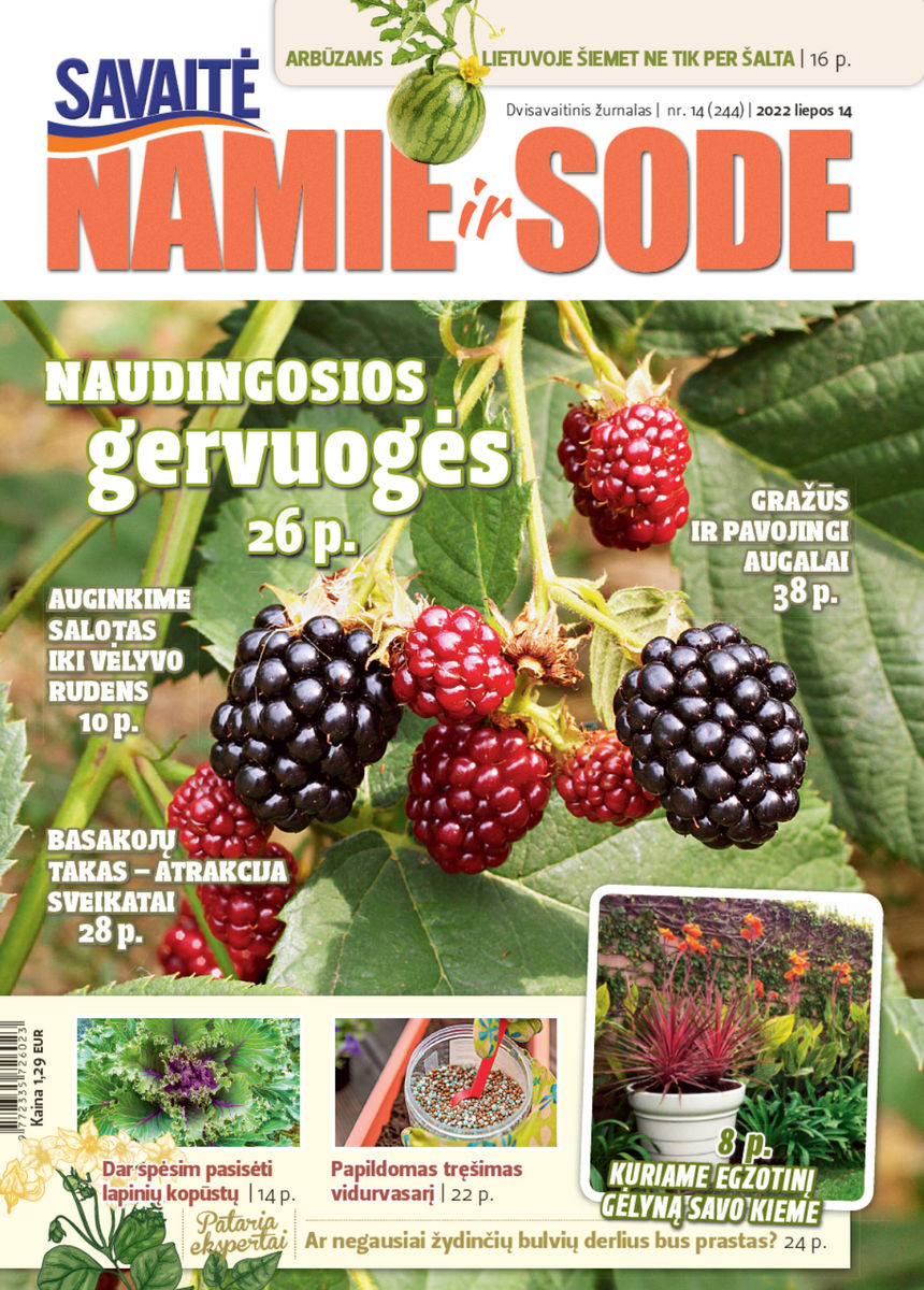 Namie Ir Sode 14 (2022) Namie Ir Sode 14 (2022)