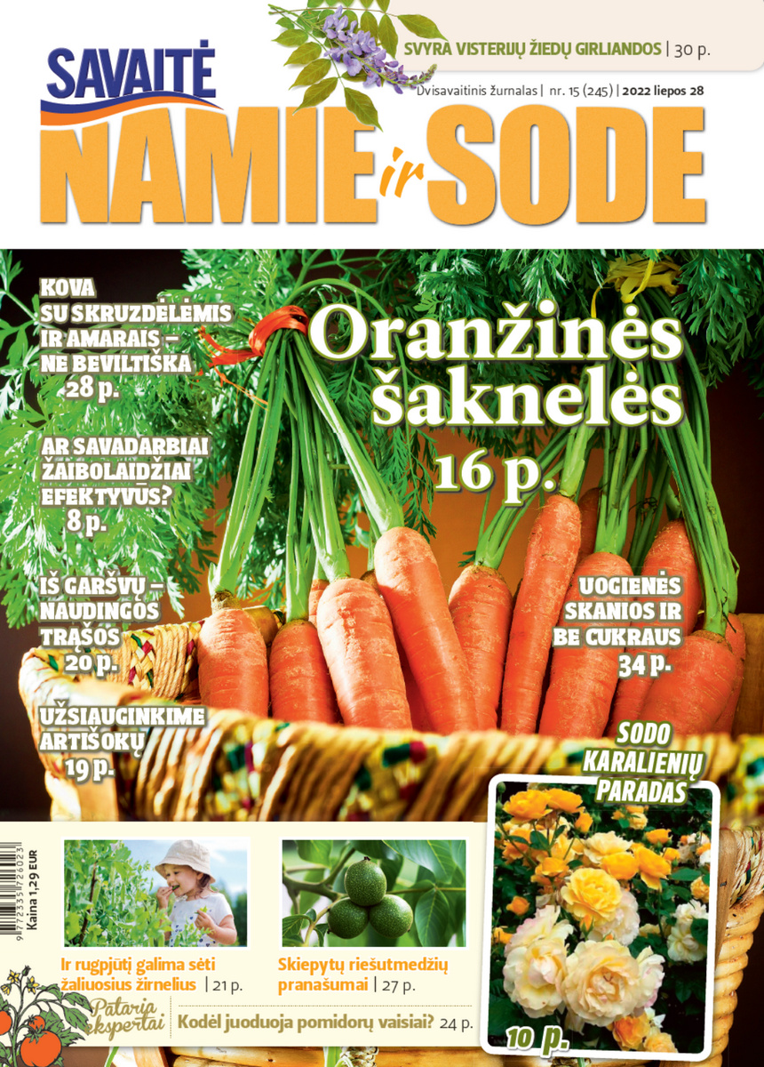 Namie Ir Sode 15 (2022) Namie Ir Sode 15 (2022)