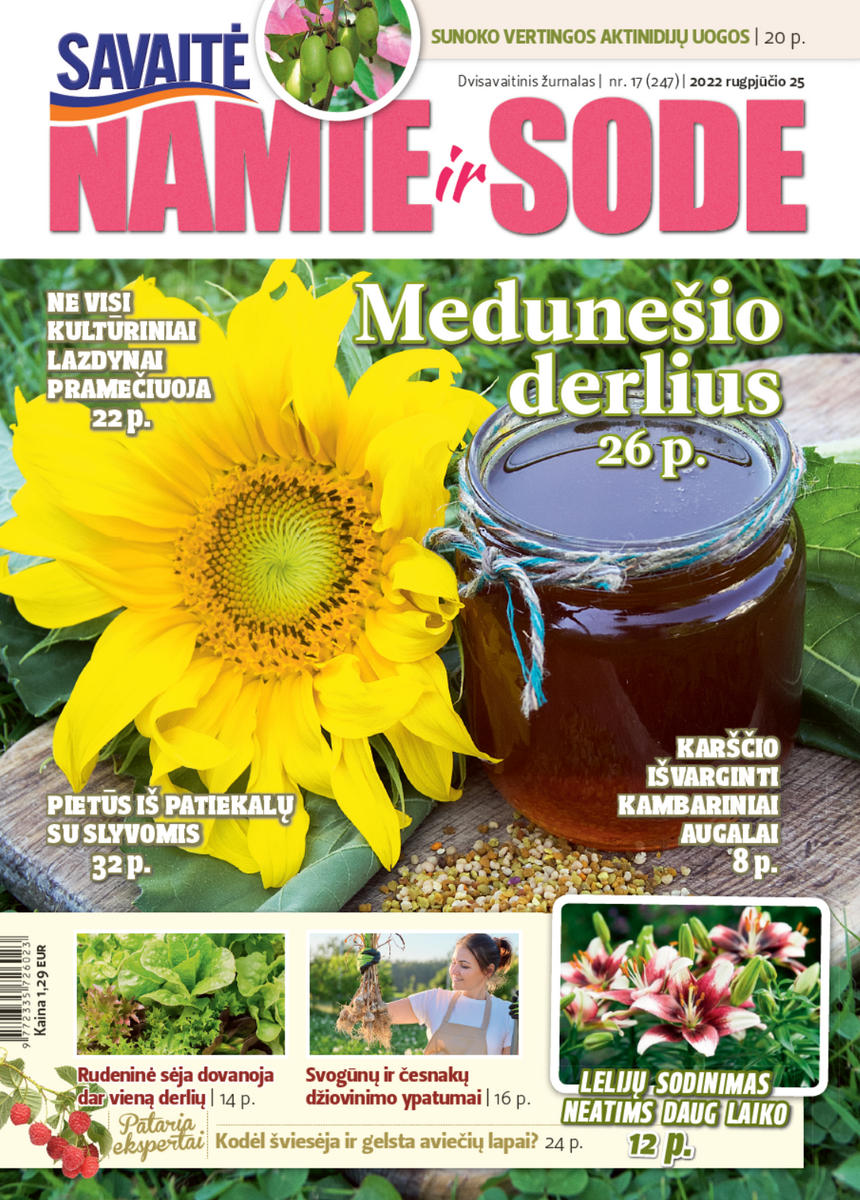 Namie Ir Sode 17 (2022) Namie Ir Sode 17 (2022)