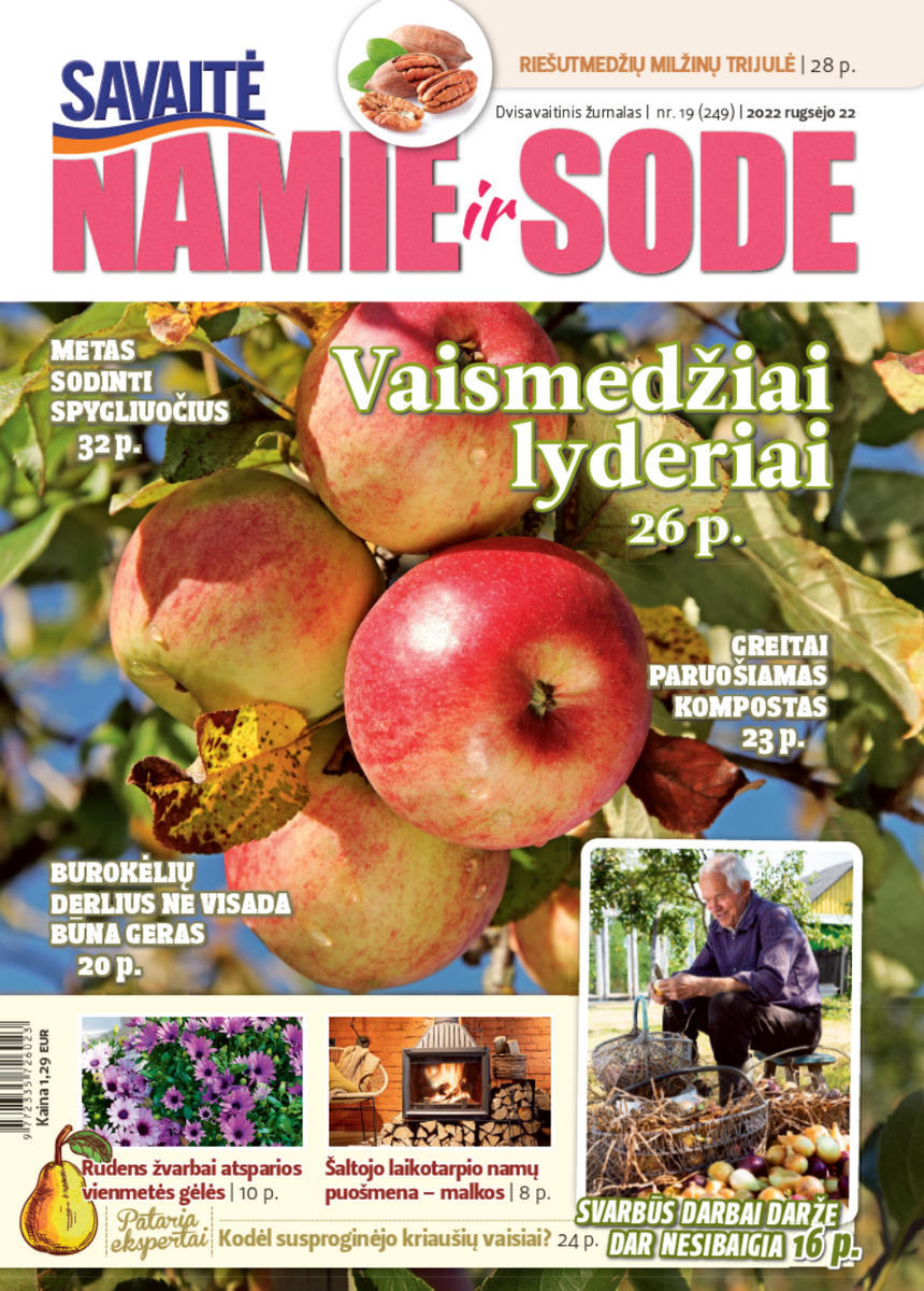 Namie Ir Sode 19 (2022)