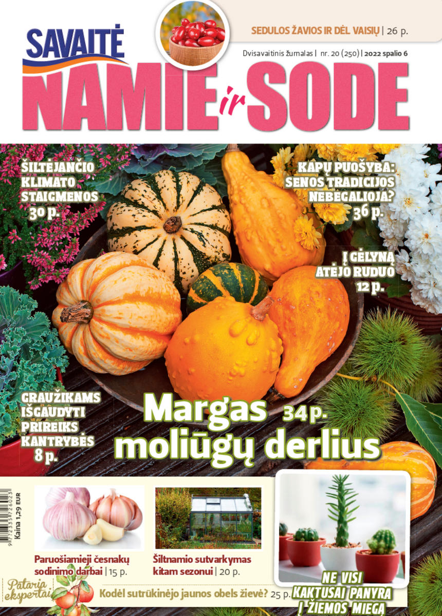 Namie Ir Sode 20 (2022) Namie Ir Sode 20 (2022)