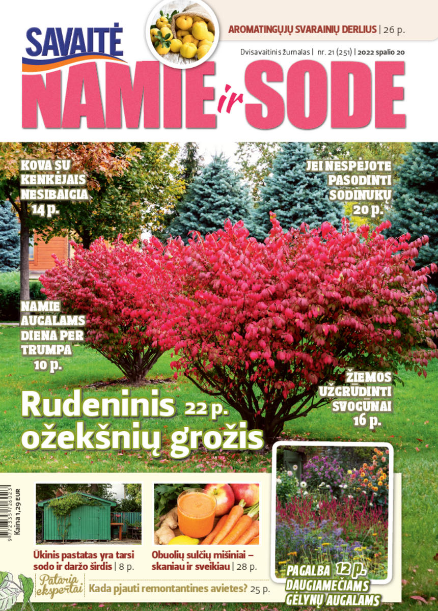 Namie Ir Sode 21 (2022)