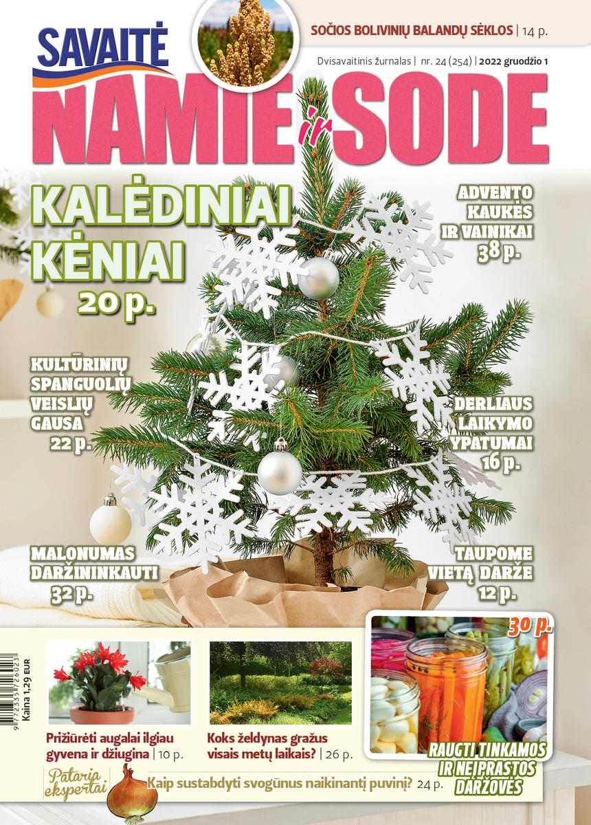Namie Ir Sode 24 (2022) Namie Ir Sode 24 (2022)