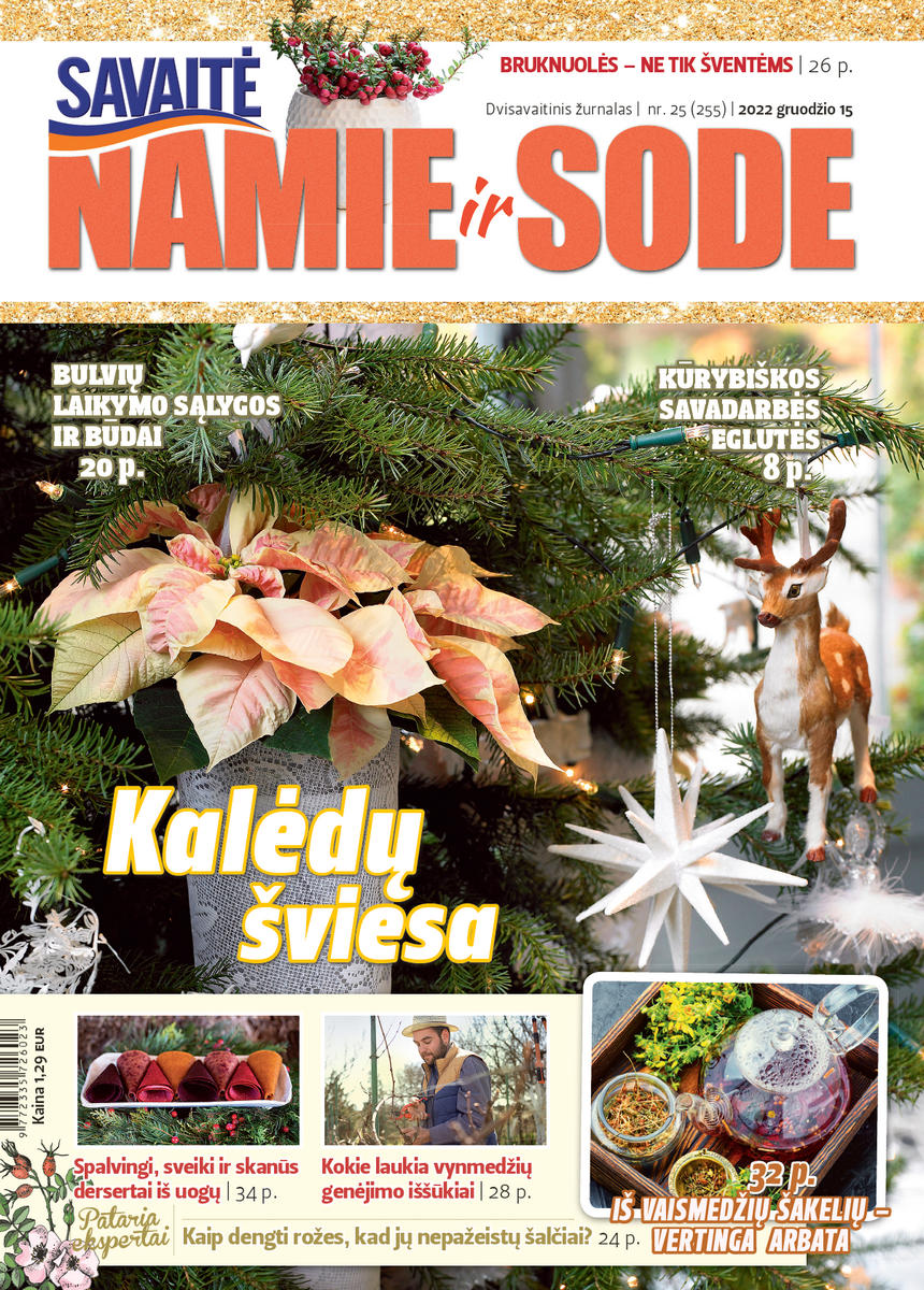 Namie Ir Sode 25 (2022)