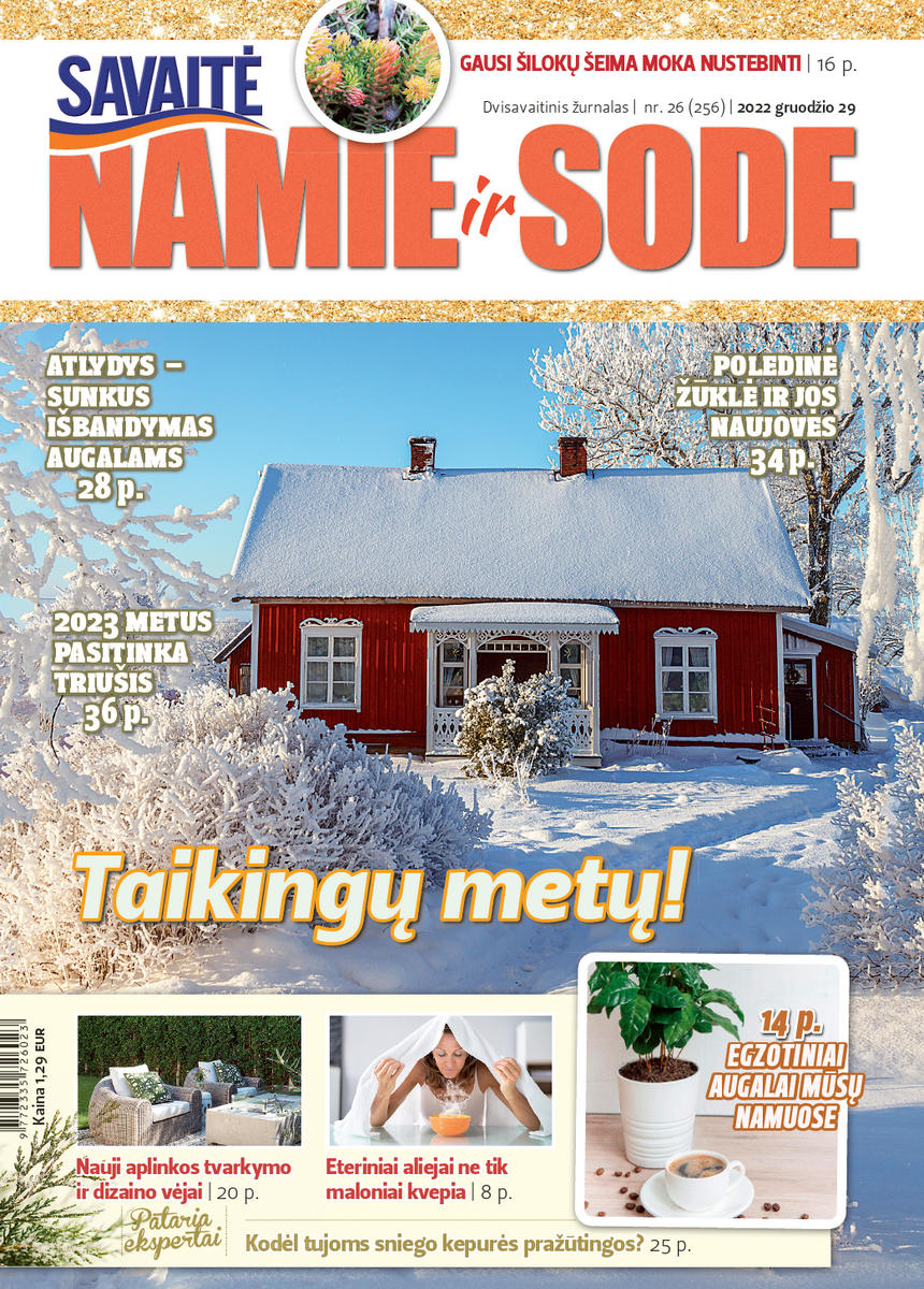 Namie Ir Sode 26 (2022)