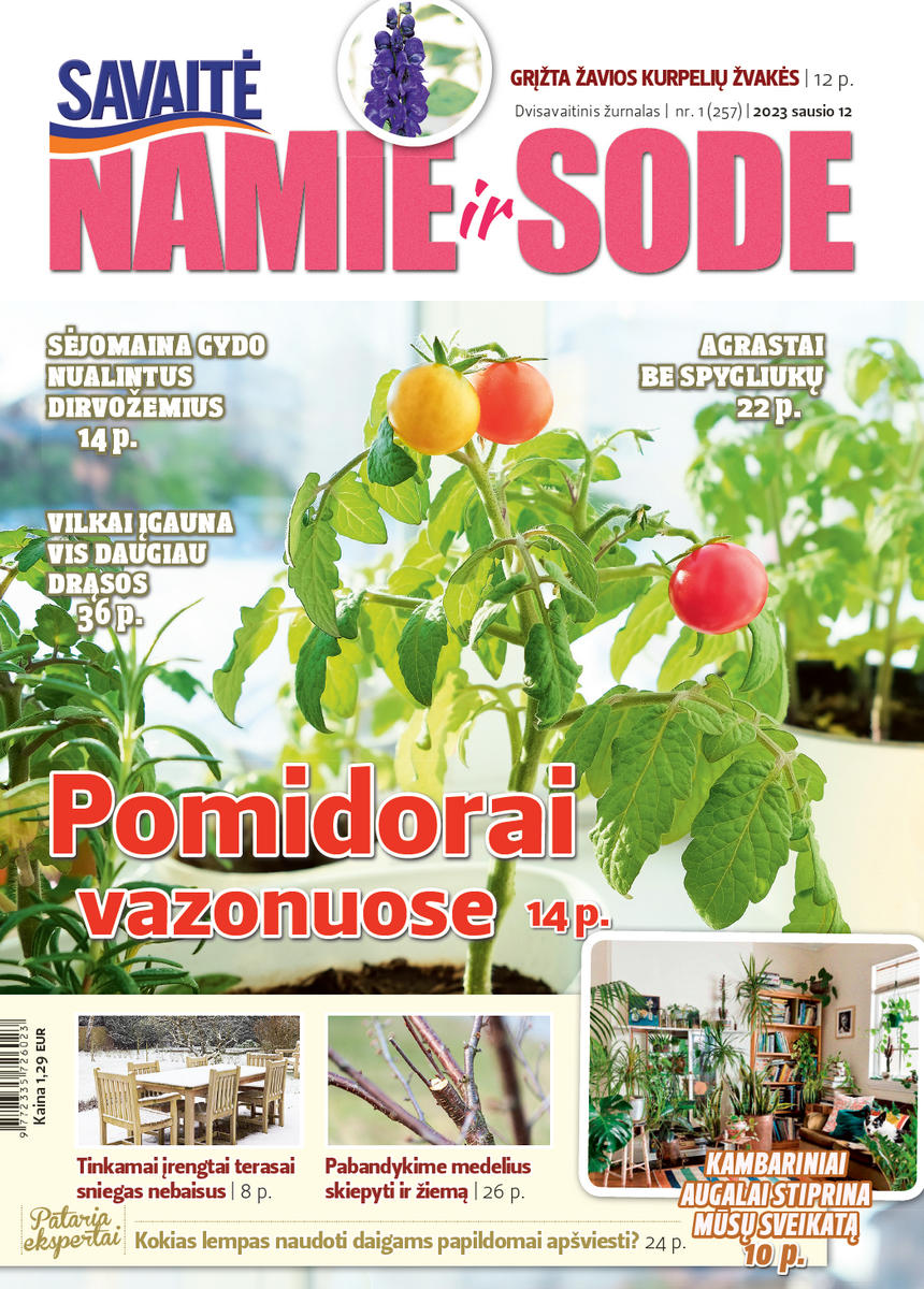 Namie Ir Sode 01 (2023)