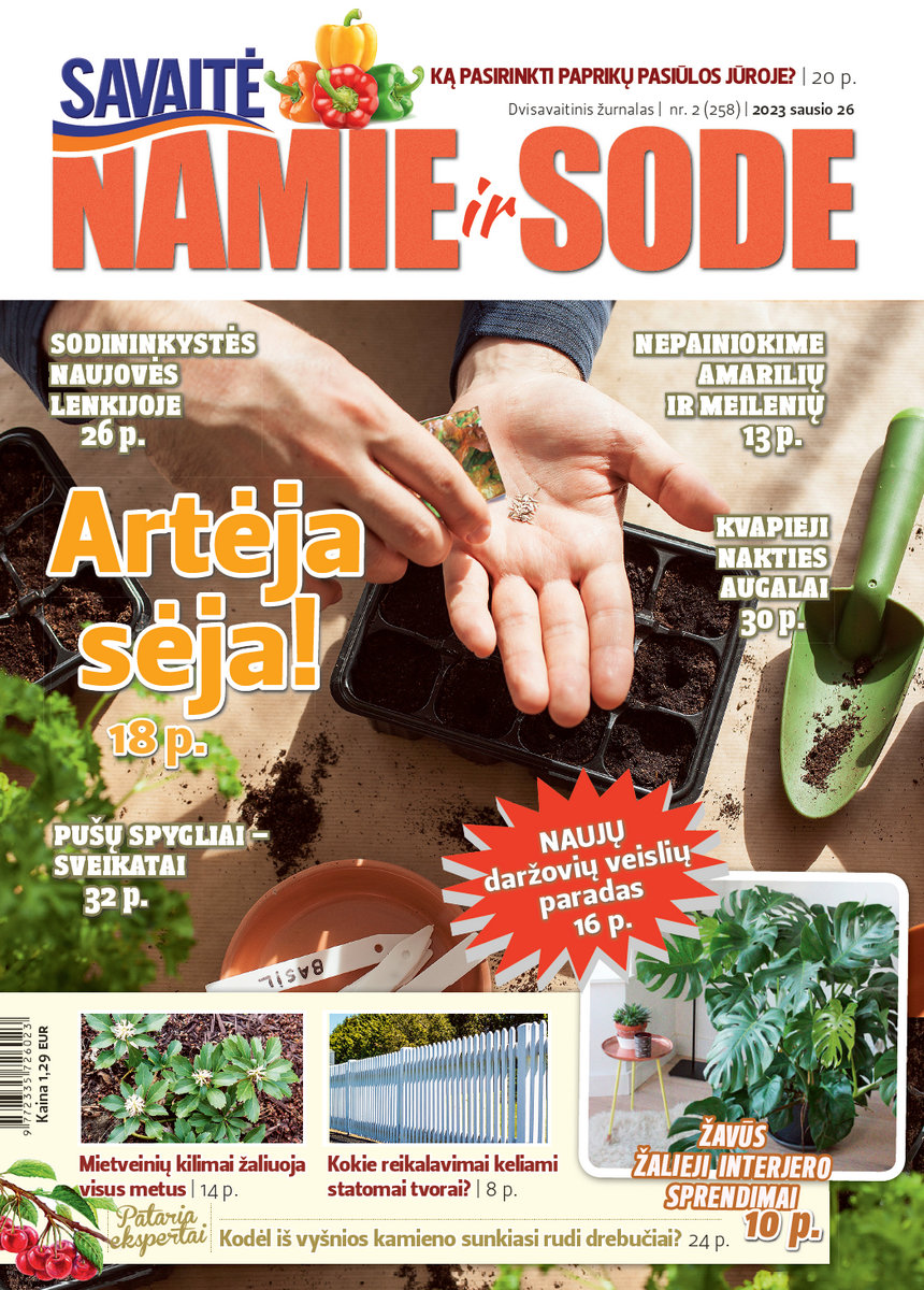 Namie Ir Sode 02 (2023)