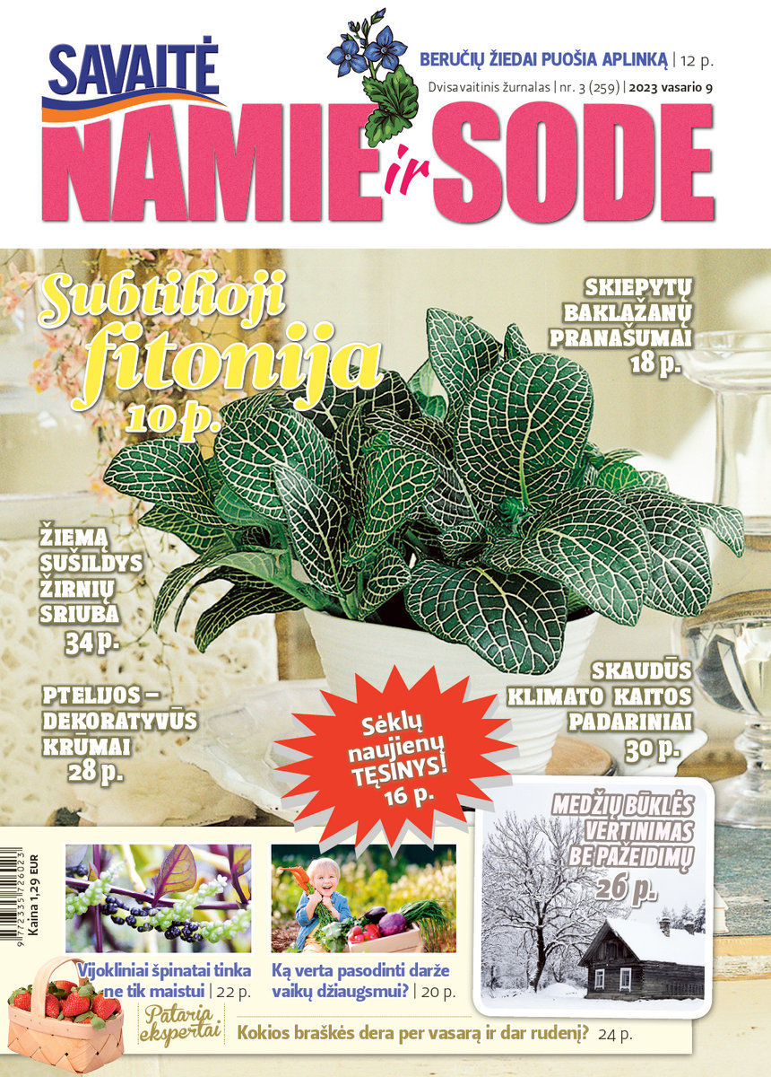 Namie Ir Sode 03 (2023)