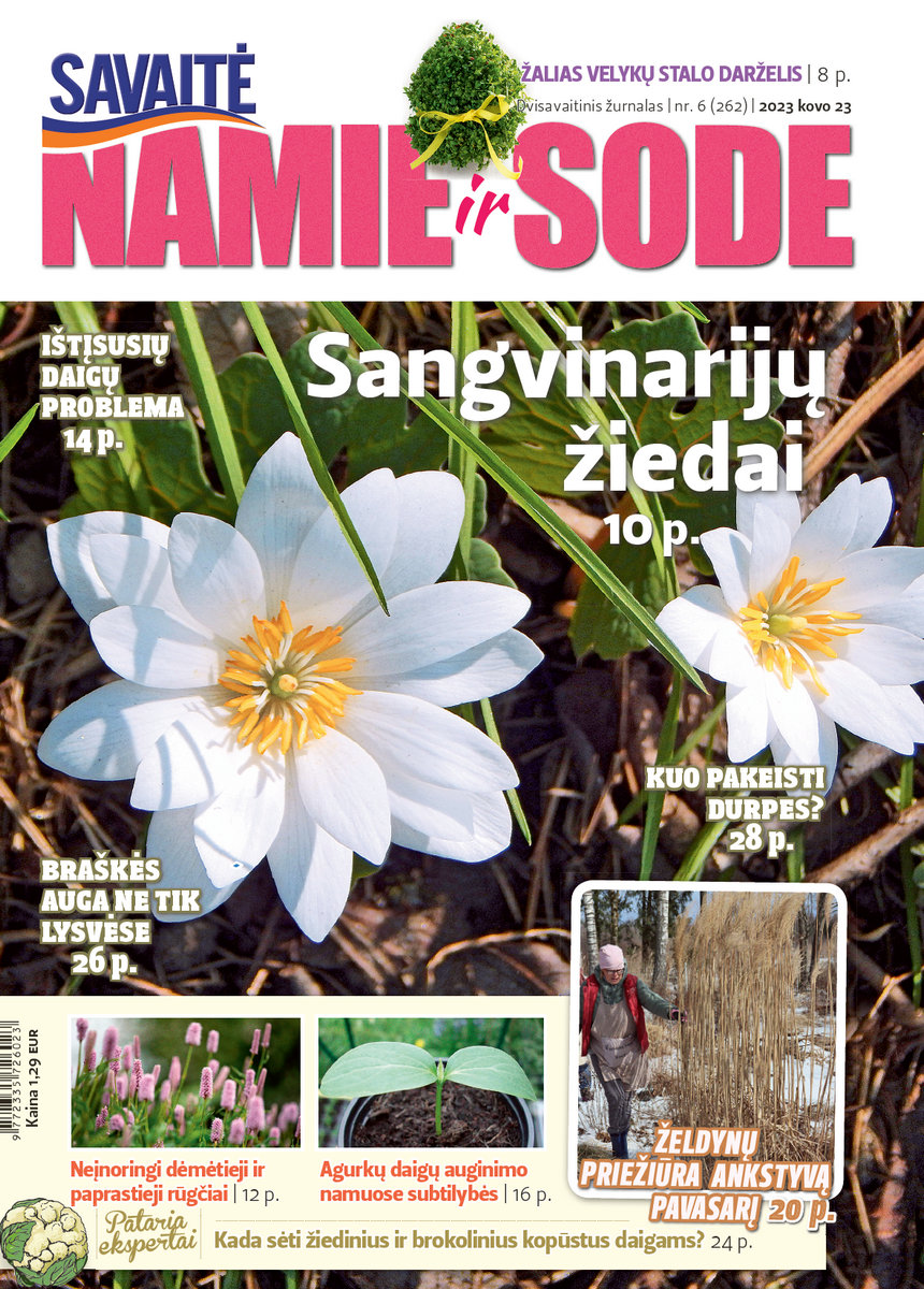 Namie Ir Sode 06 (2023)