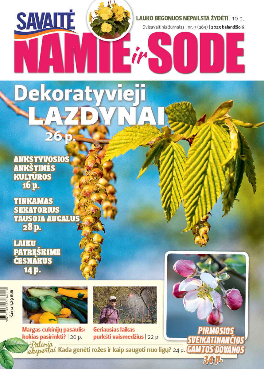 Namie Ir Sode 07 (2023)