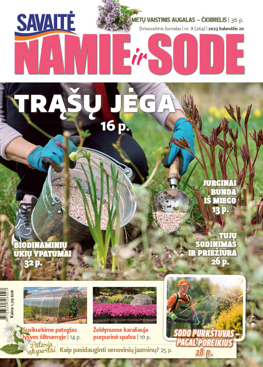 Namie Ir Sode 08 (2023)