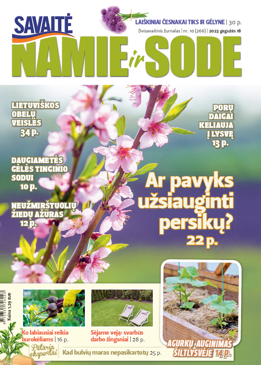Namie Ir Sode 10 (2023) Namie Ir Sode 10 (2023)