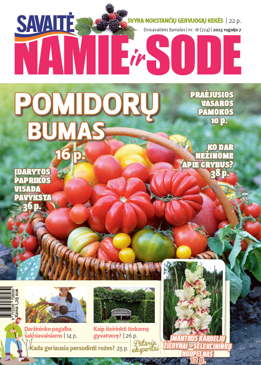 Namie Ir Sode 18 (2023) Namie Ir Sode 18 (2023)