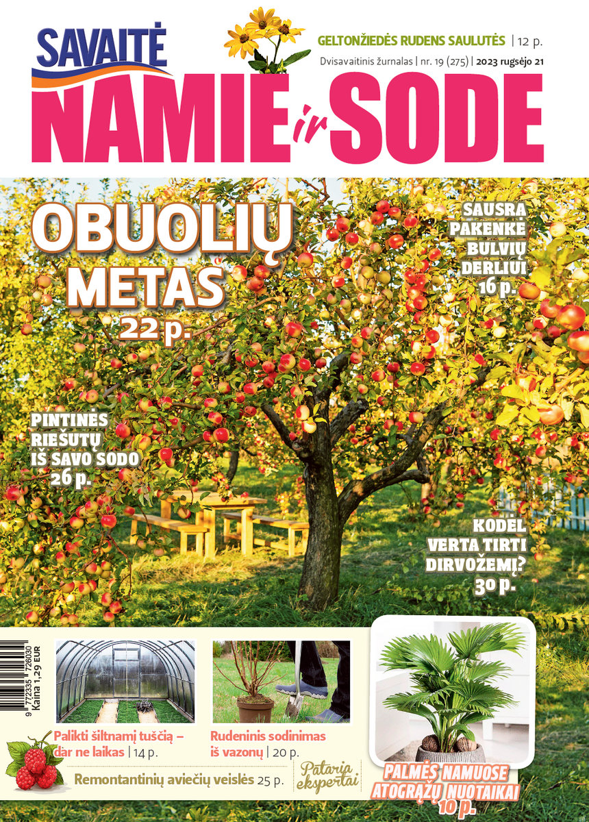 Namie Ir Sode 19 (2023) Namie Ir Sode 19 (2023)