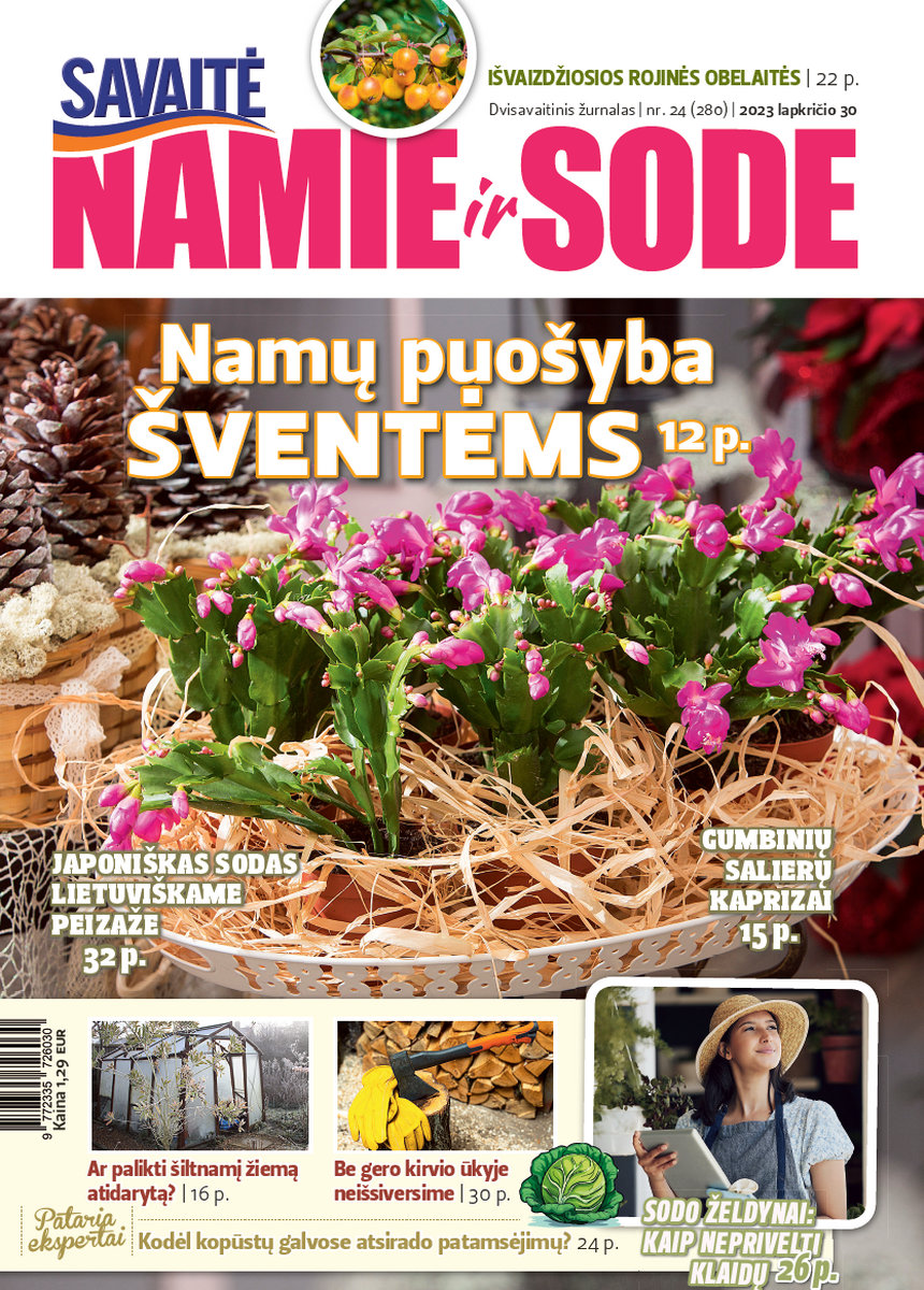 Namie Ir Sode 24 (2023) Namie Ir Sode 24 (2023)