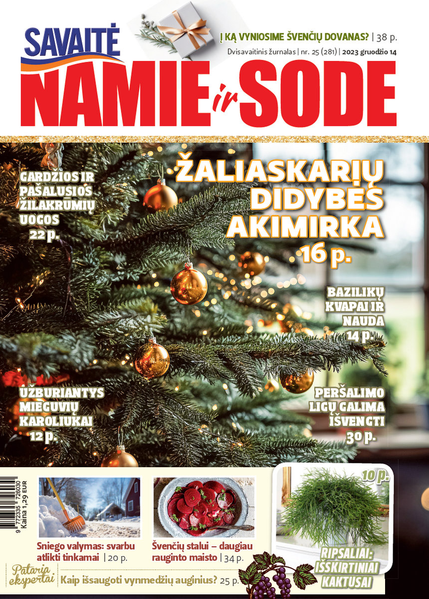 Namie Ir Sode 25 (2023)